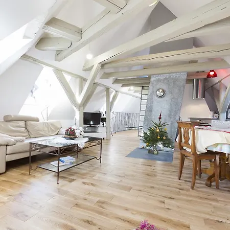 Apartment Saint Nicolas Colmar