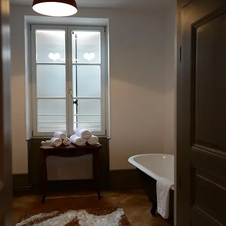 شقة Saint Nicolas كولمار